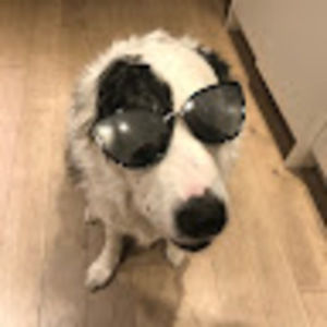 Meet your Posher, Juliet